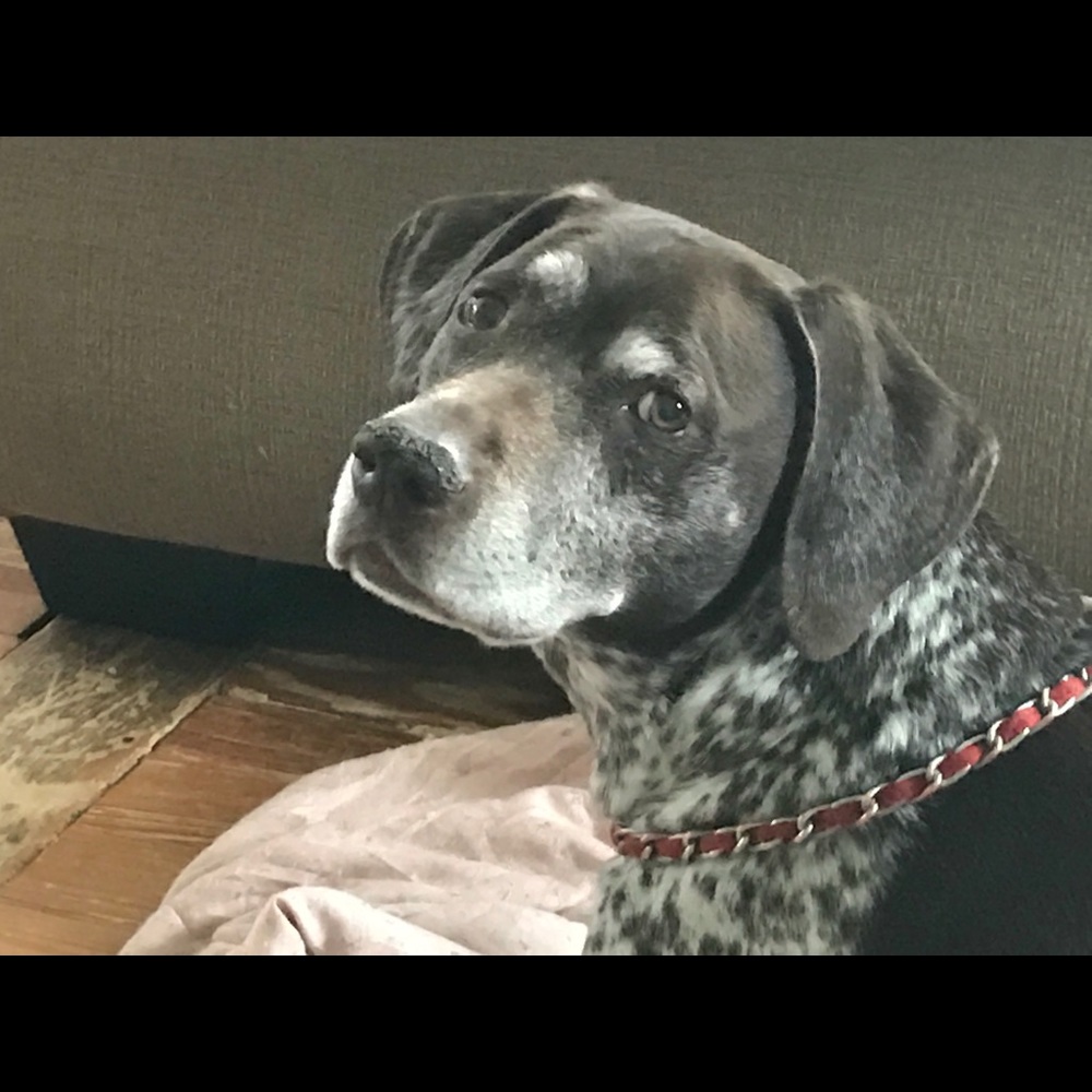 Meet your Posher, Ann